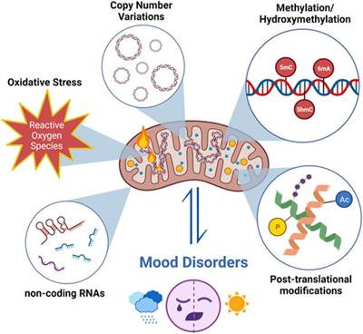 Integrating mitoepigenetics into research in mood disorders: a state-of-the-art review